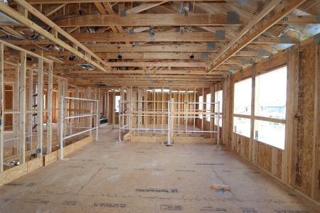 New construction Single-Family house 32556 Sapna Chime Drive, Wesley Chapel, FL 33545 Dali- photo 45 45