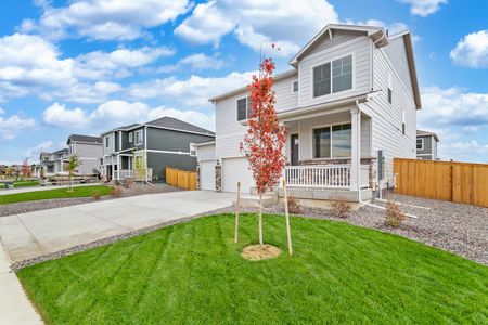 New construction Single-Family house 14065 Alpine Phlox Ln, Parker, CO 80134 HOLCOMBE- photo 3 3