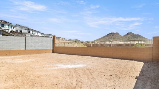 New construction Single-Family house 6842 W Molly Ln, Peoria, AZ 85383 El Dorado- photo 44 44