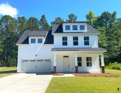 New construction Single-Family house 1224 Alston Dingle Road, Awendaw, SC 29429 - photo 21 21