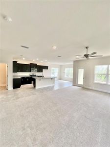 New construction Single-Family house 4045 Old Canal Street, Leesburg, FL 34748 - photo 3 3