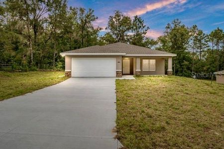 New construction Single-Family house 20315 Sw 102Nd Street Road, Dunnellon, FL 34431 - photo 0 0