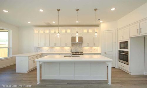 New construction Single-Family house 920 Water Canna, Fort Worth, TX 76247 - photo