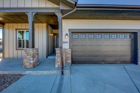 New construction Multi-Family house 8412 Cromwell Circle, Windsor, CO 80528 - photo 1 1