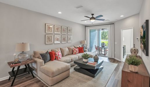 Seaire by Dream Finders Homes in Palmetto - photo 46 46