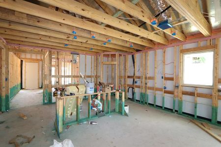 New construction Single-Family house 208 Cottonwood Canyon Drive, Melissa, TX 75454 Auburn- photo 19 19