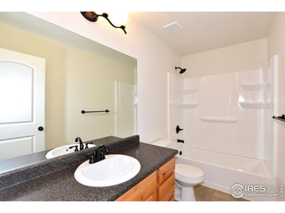 New construction Single-Family house 2333 Graceful St, Windsor, CO 80550 The New Jersey- photo 34 34