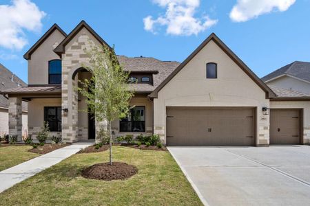 Sienna 70' Lots by J. Patrick Homes in Missouri City - photo 2 2