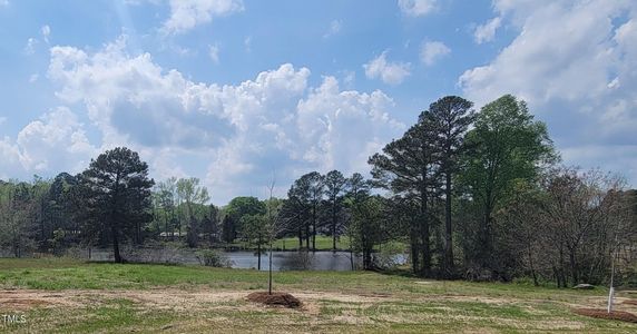 New construction Single-Family house 120 Weathered Oak Way, Youngsville, NC 27596 - photo 21 21