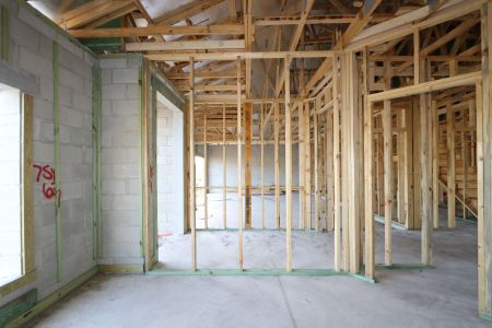 New construction Single-Family house 5092 Bromeliad Avenue, Wimauma, FL 33598 Barcello Bonus- photo 16 16