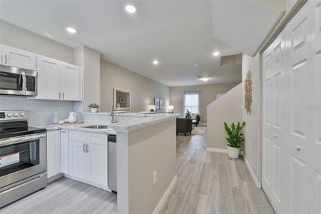 New construction Townhouse house 4369 Har Paul Circle, Tampa, FL 33614 - photo 8 8