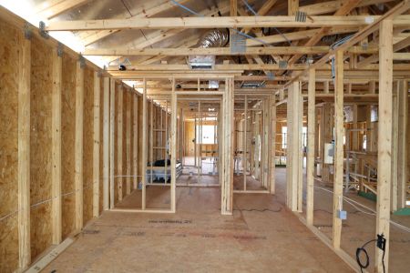 New construction Single-Family house 10605 New Morning Drive, Tampa, FL 33647 Sonoma II- photo 21 21
