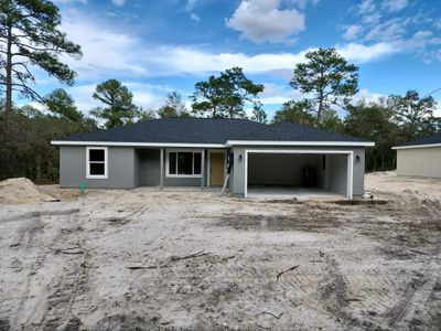 New construction Single-Family house 9 Locust Terrace Trail, Ocala, FL 34472 - photo 0