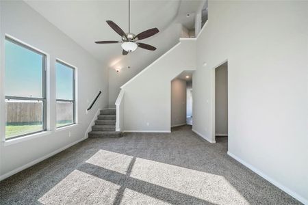 New construction Single-Family house 730 Tejas Village Parkway, Beasley, TX 77417 St. Augustine- photo 20 20