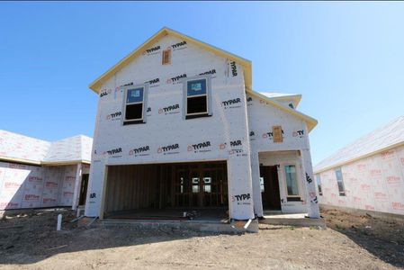 New construction Single-Family house 815 Papaya Dr, Buda, TX 78610 Cadence- photo 11 11