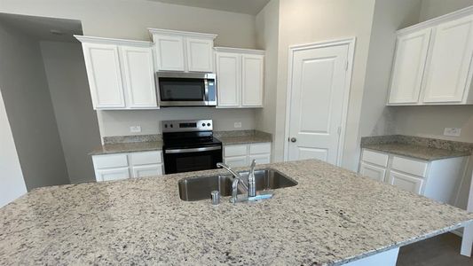 New construction Single-Family house 221 Vitex Drive, Royse City, TX 75189 1027 Avondale- photo 4 4