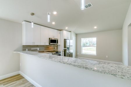 New construction Single-Family house 5394 Southeast 91st Street, Ocala, FL 34480 - photo 17 17