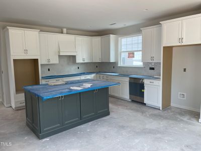 New construction Single-Family house 3110 Armeria Drive, Unit Lot 6, Apex, NC 27502 - photo 4 4