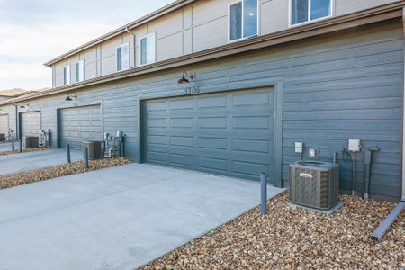 New construction Townhouse house 5036 McKinnon Court, Timnath, CO 80547 Howes- photo 38 38