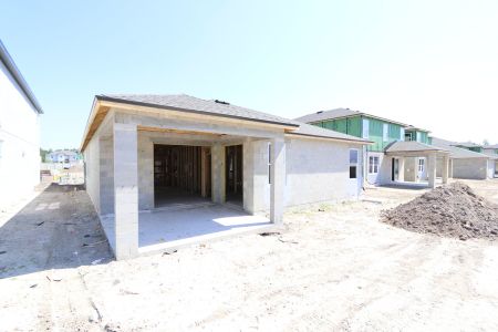 New construction Single-Family house 33224 Amling Pecan Branch, Wesley Chapel, FL 33545 Newport II- photo 10 10