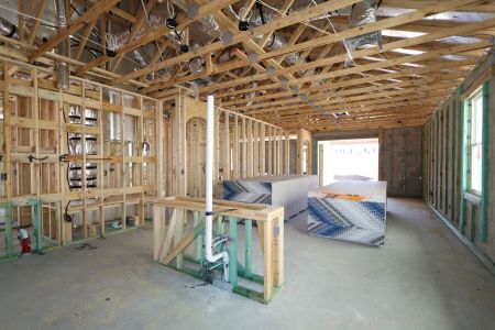 New construction Single-Family house 33224 Amling Pecan Branch, Wesley Chapel, FL 33545 Newport II- photo 14 14