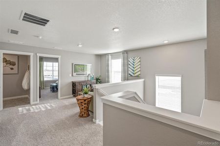 New construction Single-Family house 6087 Holstein Drive, Windsor, CO 80528 HENNESSY- photo 18 18