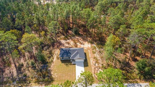 New construction Single-Family house 24254 Nw Water Oak Avenue, Dunnellon, FL 34431 - photo 19 19