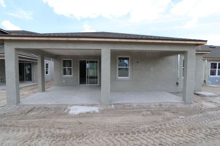 New construction Single-Family house 31843 Sapna Chime Drive, Wesley Chapel, FL 33545 Picasso- photo 65 65