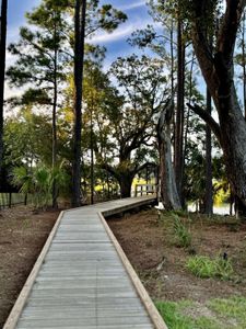 New construction Single-Family house 3605 Clambank Drive, Mount Pleasant, SC 29466 - photo 10 10