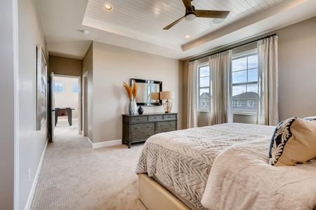 Country Club Reserve by Dream Finders Homes in Fort Collins - photo 22 22