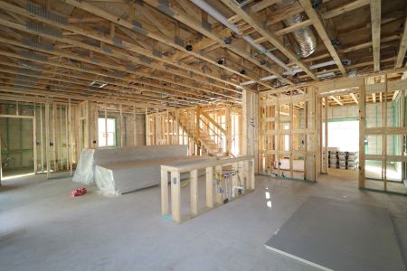 New construction Single-Family house 12114 Hilltop Farms Drive, Dade City, FL 33525 Alenza- photo 78 78