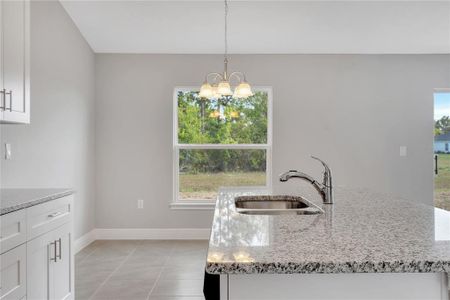 New construction Single-Family house 111 Colchester Place, Kissimmee, FL 34758 - photo 8 8