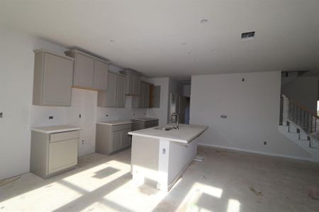 New construction Single-Family house 101 Unakite Trl, Liberty Hill, TX 78642 Cantata- photo 6 6