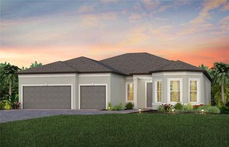 New construction Single-Family house 11437 Waterway Drive, Parrish, FL 34219 Stellar- photo 0 0