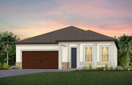 New construction Single-Family house Cypress Bend Drive, Wesley Chapel, FL 33545 - photo 5 5