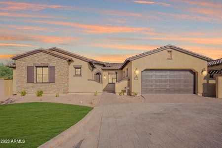 New construction Single-Family house 3265 S Coffeeberry Court, Gold Canyon, AZ 85118 - photo 3 3