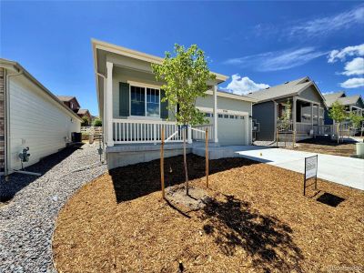 New construction Single-Family house 2402 Drummle Drive, Castle Rock, CO 80104 - photo 1 1