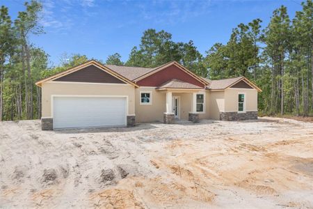 New construction Single-Family house 16267 Mellon Road, Weeki Wachee, FL 34614 - photo 9 9