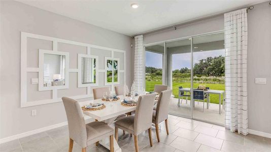 New construction Single-Family house 377 Mangrove Manor Drive, Apollo Beach, FL 33572 Coral- photo 3 3