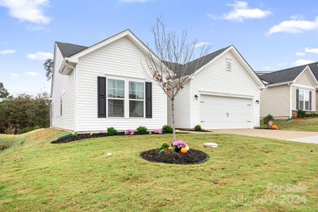 New construction Single-Family house 7147 Indigo Way, Denver, NC 28037 - photo 0