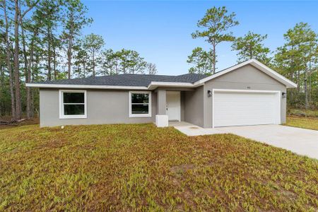 New construction Single-Family house 452 Sw Sycamore Road, Dunnellon, FL 34431 - photo 2 2