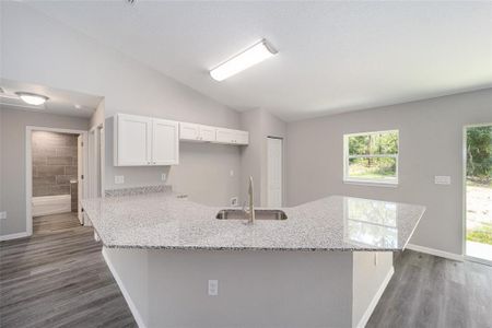 New construction Single-Family house 410 Redwood Drive, Dunnellon, FL 34431 - photo 21 21