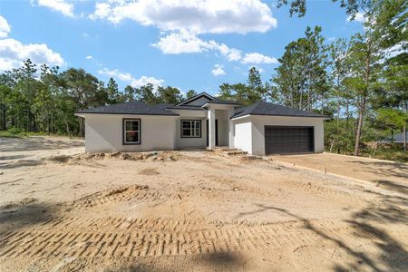 New construction Single-Family house 13359 Sw 80Th Street, Dunnellon, FL 34432 - photo 4 4