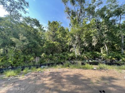 New construction Single-Family house 95169 Lock Street, Fernandina Beach, FL 32034 - photo 12 12