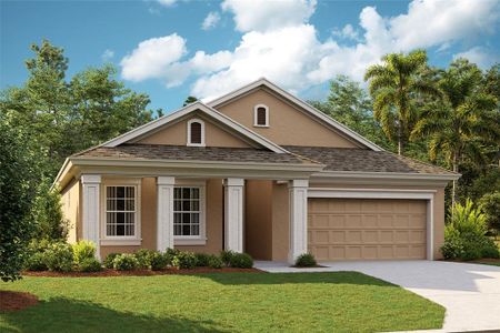 New construction Single-Family house 6210 Hidden Branch Drive, Apollo Beach, FL 33572 - photo 0