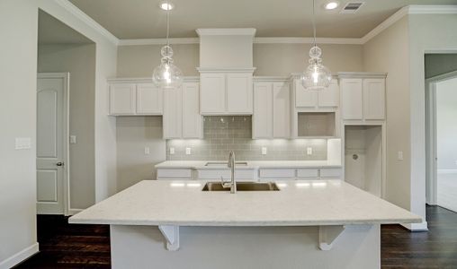 New construction Single-Family house 192 Peninsula Point Drive, Montgomery, TX 77356 Cooperfield- photo 6 6