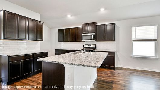 New construction Single-Family house 15134 Pinyon Jay, San Antonio, TX 78253 - photo 25 25
