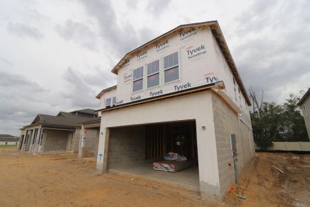 New construction Single-Family house 12114 Hilltop Farms Drive, Dade City, FL 33525 Alenza- photo 65 65