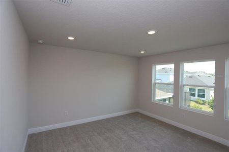 New construction Single-Family house 5932 Golden Nettle Drive, Apollo Beach, FL 33572 - photo 25 25