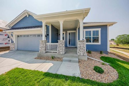 New construction Single-Family house 8412 Cromwell Circle, Windsor, CO 80528 - photo 122 122
